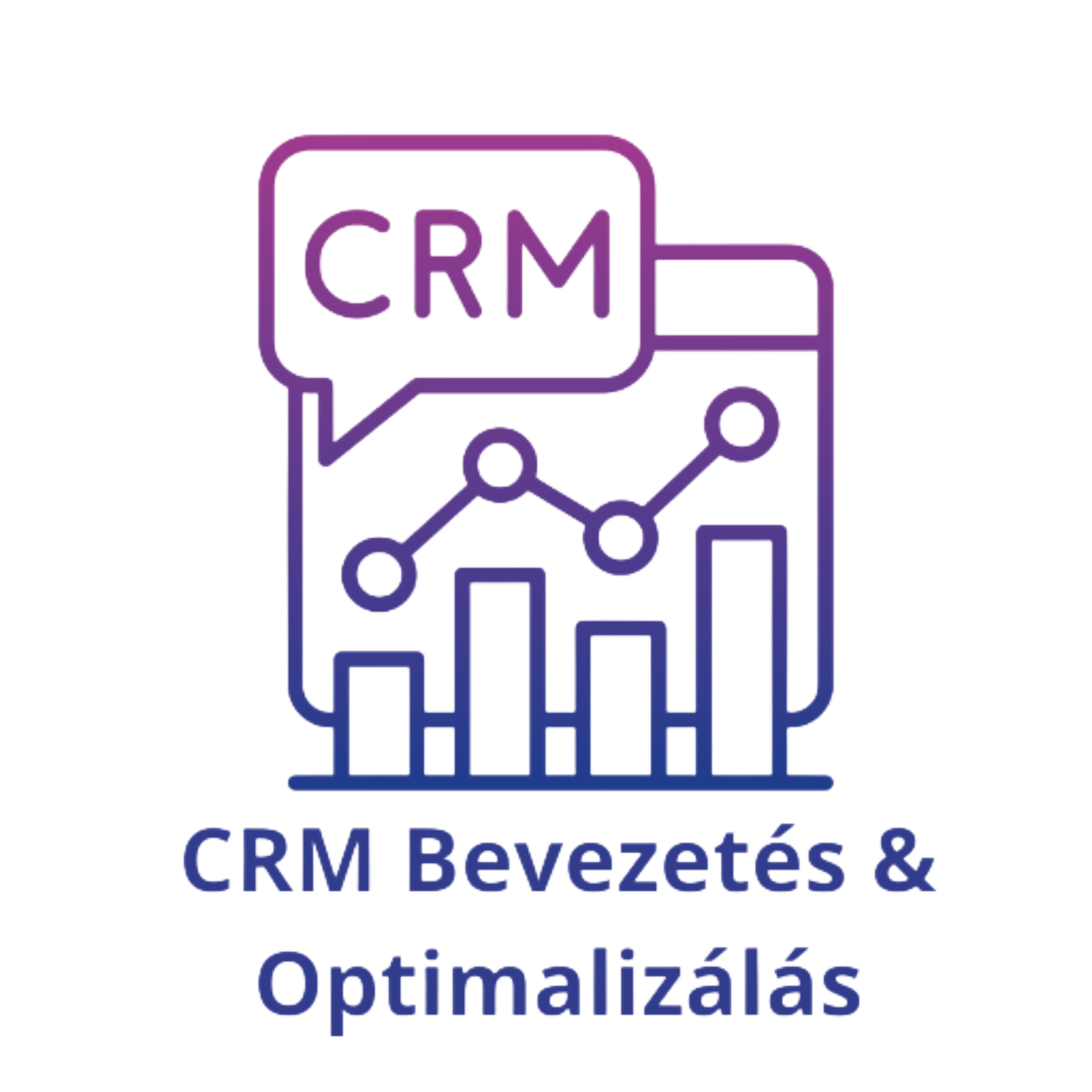 Custom CRM setup and workflow automation for businesses.