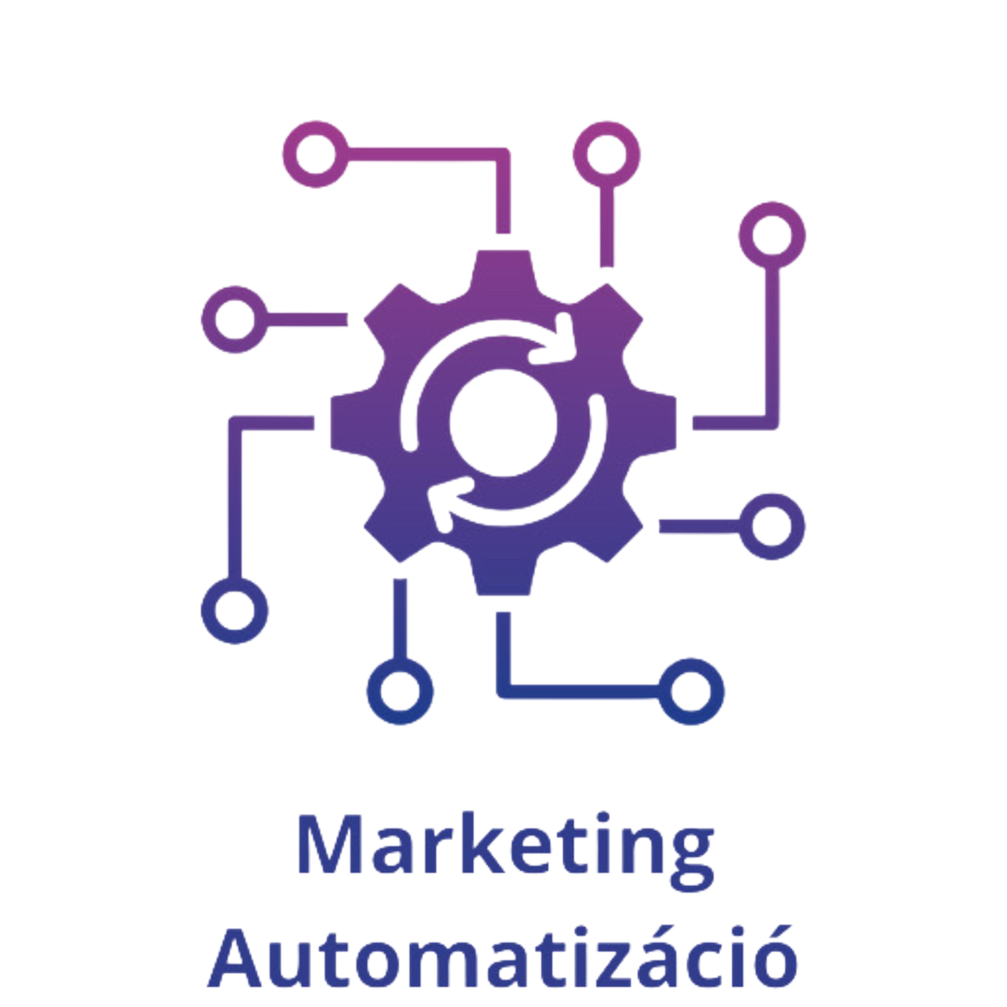 Automated marketing workflows and email sequences.